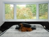 bay_windows_7618