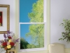 double_hung_4-177